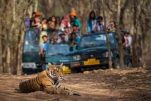 The Golden Triangle Tour With Ranthambore