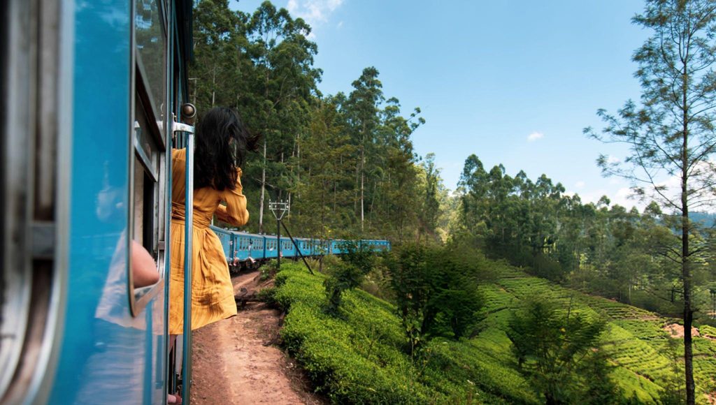 Scenic train journey through the lush green tea plantations and forested hills of Ella, Sri Lanka, with a traveler enjoying the view from the doorway.