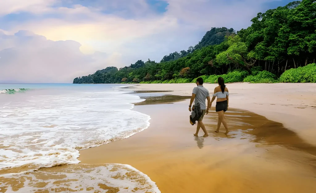 Andaman-and-Nicobar-Islands-2.webp
