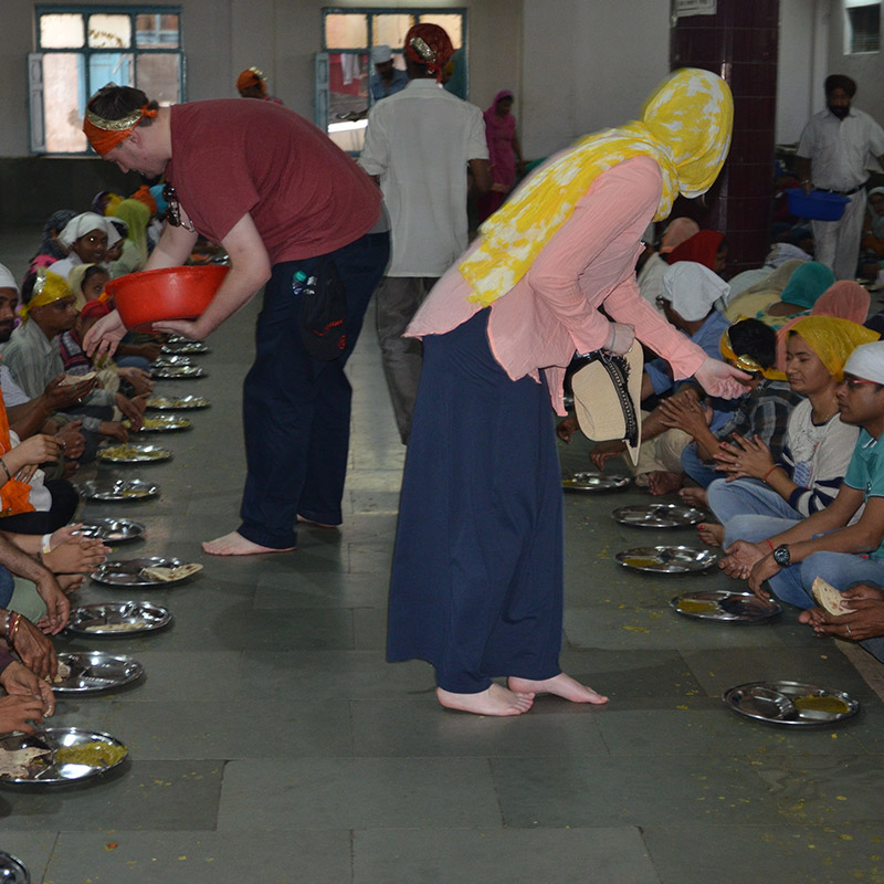 Volunteers serving langar meals to seated visitors inside a Gurudwara dining hall, highlighting the Sikh tradition of community service and free food.