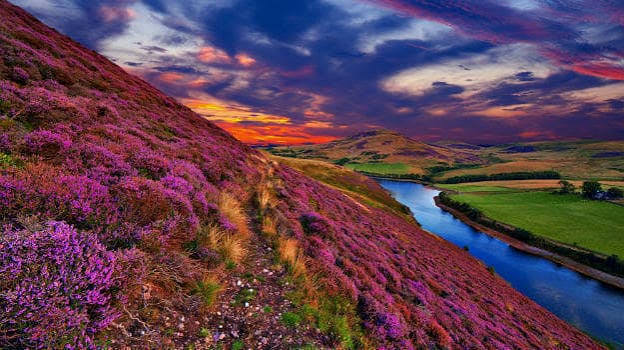 Valley of Flowers trek with vibrant purple wildflowers, a winding mountain trail, river valley, and dramatic sunset sky